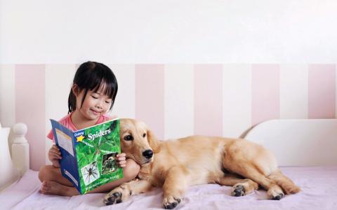 清新可爱宝宝摄影写真手机壁纸第5张