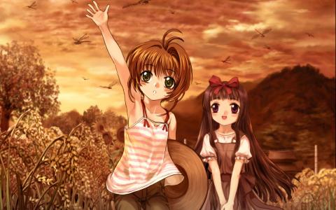 日本动漫东京猫猫美少女唯美浪漫桌面壁纸第2张