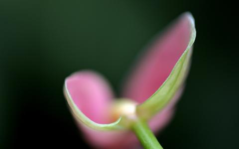 图片 _ 第(15)张