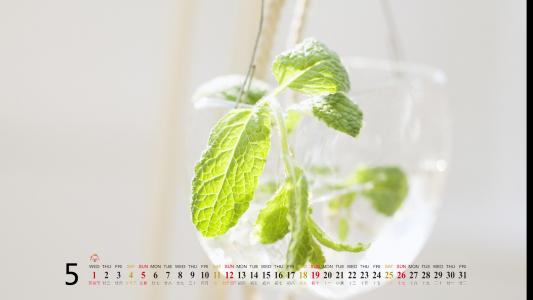 2013年5月桌面壁纸之精选精美风景第3张