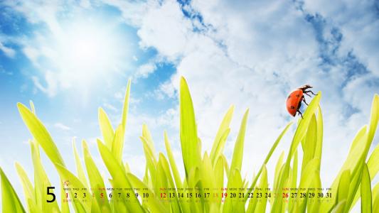 2013年5月桌面壁纸之精选精美风景第4张