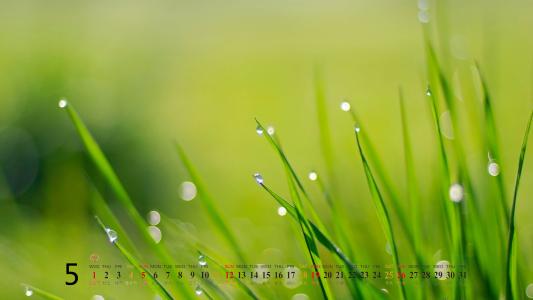 2013年5月桌面壁纸之精选精美风景第5张