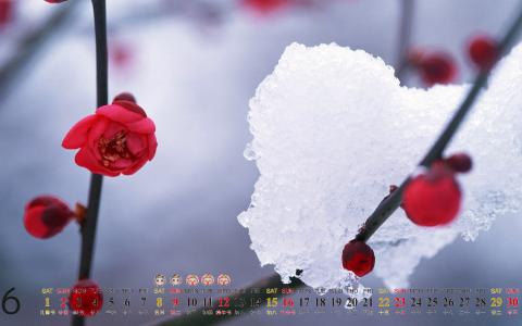 下雪图片 _ 第(3)张