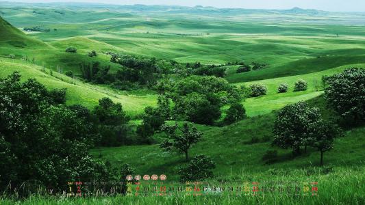 美丽的草原风景清新怡人电脑桌面壁纸图片第2张