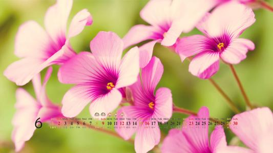 自然风景高清精选手机壁纸第0张