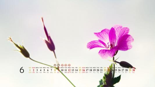 自然风景高清精选手机壁纸第4张