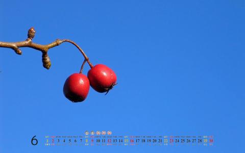 2014年偶像明星7月月历桌面壁纸第5张