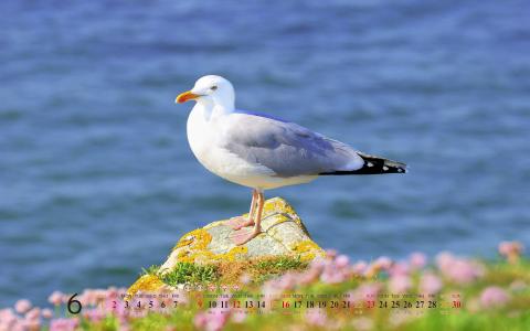 Lomo风格小清新风景高清桌面壁纸第1张