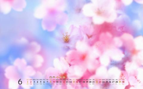 夏威夷风光风景高清图片桌面壁纸第6张