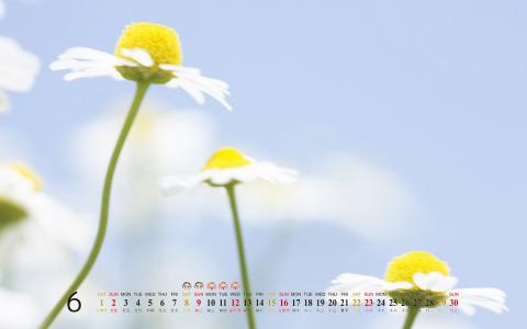 阳光美景大自然风景桌面壁纸第4张