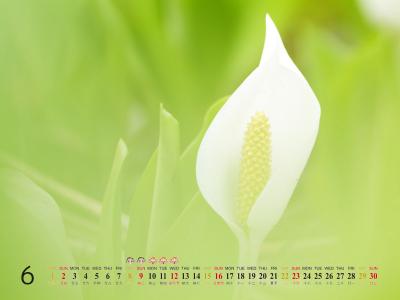 热门风景图片 _ 第(14)张