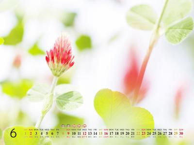 热门风景图片 _ 第(15)张
