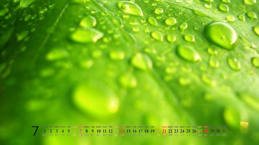 阳光美景大自然风景桌面壁纸第6张