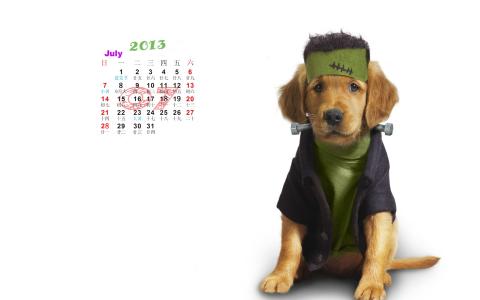 2013年7月日历桌面壁纸之可爱的动物第1张