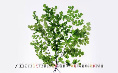 月历桌面图片 _ 第(2)张