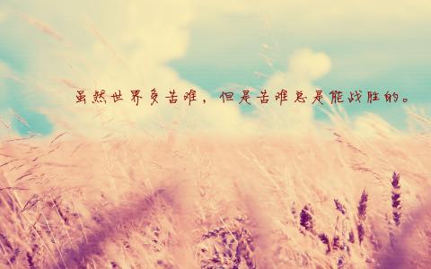 第2张