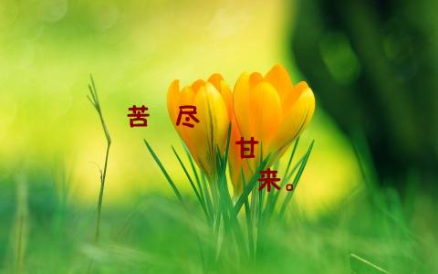 第3张