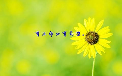热门风景图片 _ 第(10)张