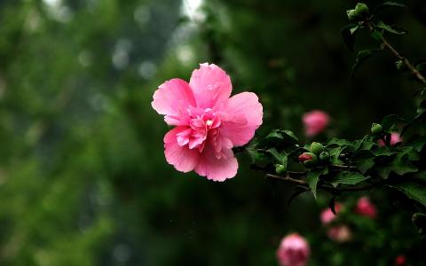 图片 _ 第(6)张