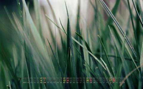 月历桌面图片 _ 第(6)张
