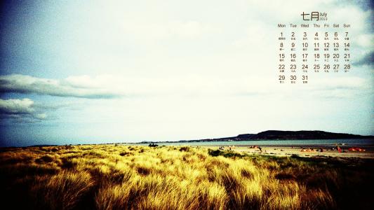 第3张