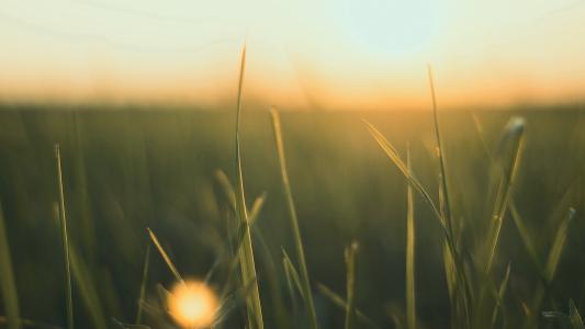 夏威夷风光风景高清图片桌面壁纸第6张