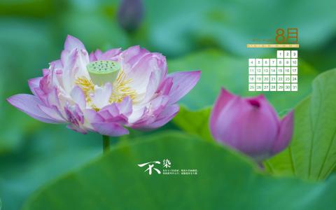 图片 _ 第(4)张 图片 _ 第(4)张