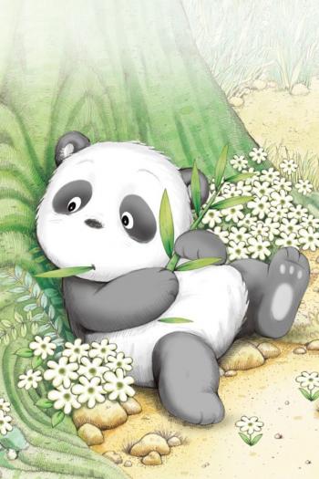 大熊猫第2张