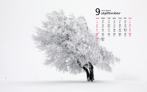 热门风景图片 _ 第(1)张