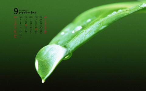 2014年9月日历壁纸微距树叶唯美摄影图片合集第一辑第0张