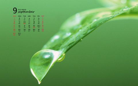 2014年9月日历壁纸微距树叶唯美摄影图片合集第一辑第6张
