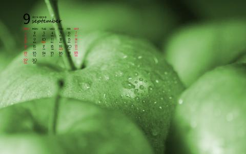 第1张