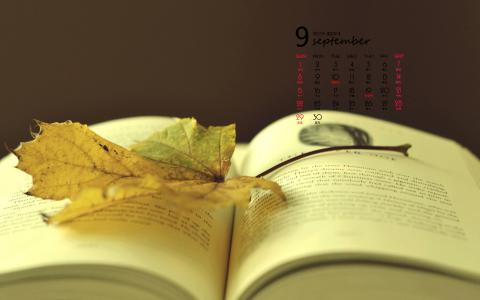 2013年秋季日历壁纸之9月树叶第5张