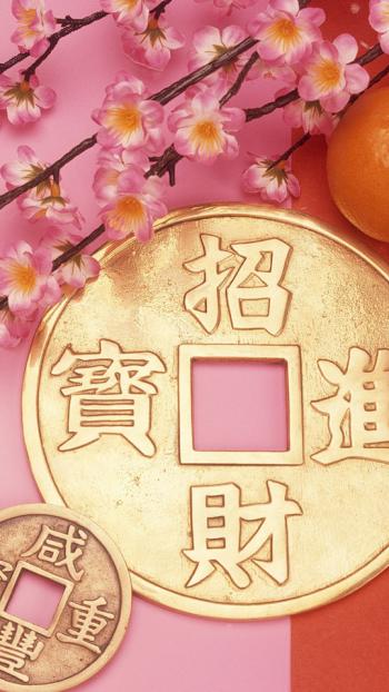 红红火火春节540X960手机壁纸第0张