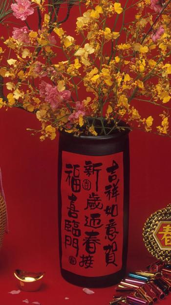 红红火火春节540X960手机壁纸第1张