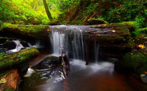 大自然风景图片 _ 第(19)张
