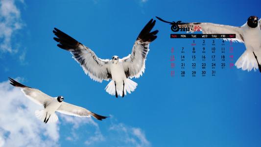 2014年9月日历壁纸蓝色风景海滩沙滩唯美大海图片合集(一)第5张