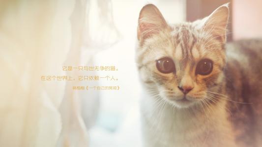 图片 _ 第(1)张