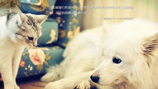 图片 _ 第(3)张