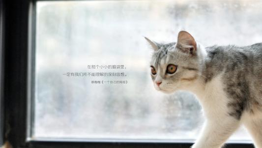 图片 _ 第(4)张