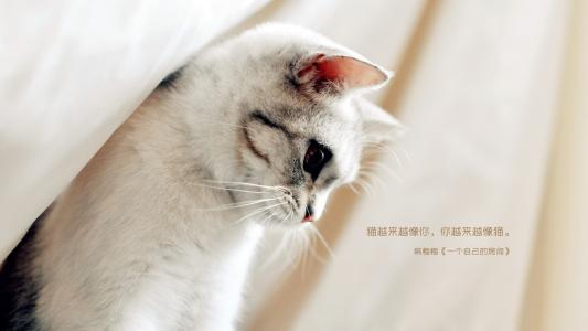 图片 _ 第(5)张