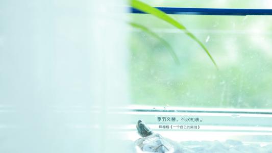 猫咪图片 _ 第(8)张