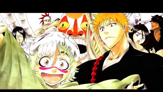 《死神》日本精选动漫高清桌面壁纸第5张
