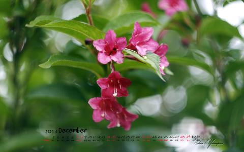 图片 _ 第(3)张 图片 _ 第(3)张