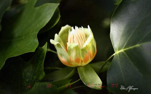 图片 _ 第(5)张