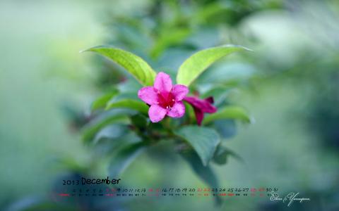 图片 _ 第(13)张