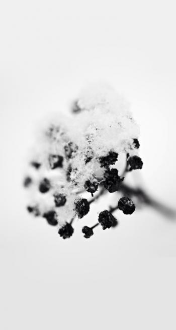 非主流摩天轮图片 _ 第(9)张