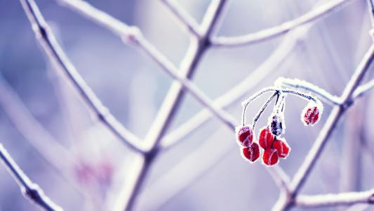 图片 _ 第(20)张
