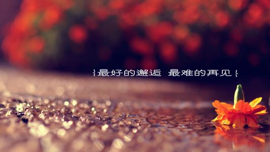 第2张