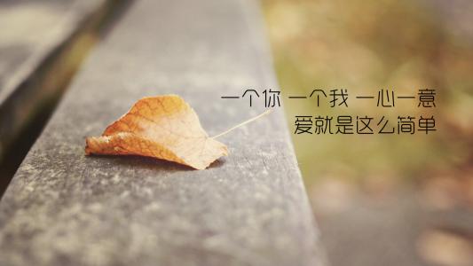 第3张